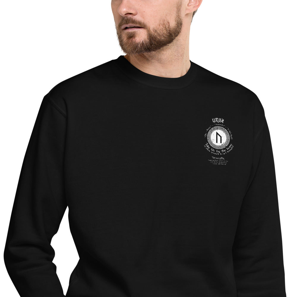 LONG SLEEVE PULL OVER VIKING STRENGTH RUNE- GRAB LIFE BY THE HORNS
