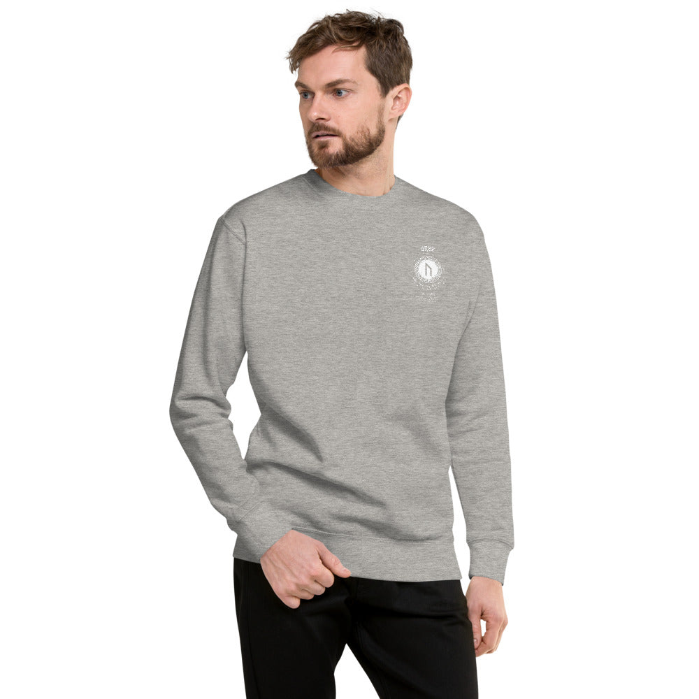 LONG SLEEVE PULL OVER VIKING STRENGTH RUNE- GRAB LIFE BY THE HORNS