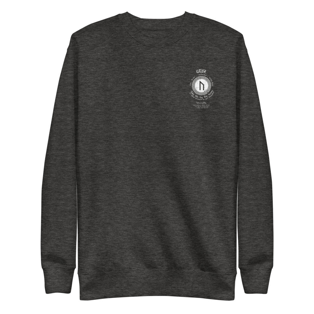 LONG SLEEVE PULL OVER VIKING STRENGTH RUNE- GRAB LIFE BY THE HORNS