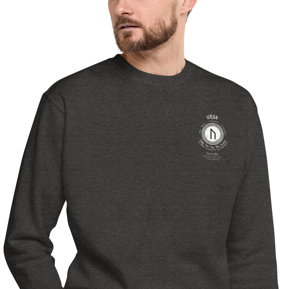 LONG SLEEVE PULL OVER VIKING STRENGTH RUNE- GRAB LIFE BY THE HORNS