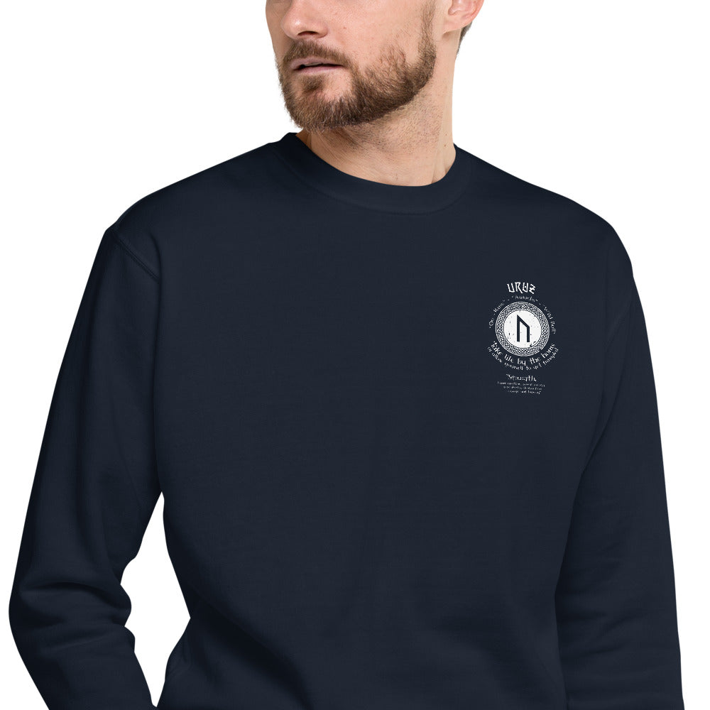 LONG SLEEVE PULL OVER VIKING STRENGTH RUNE- GRAB LIFE BY THE HORNS